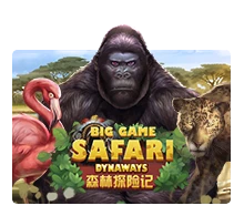 Big Game Safari