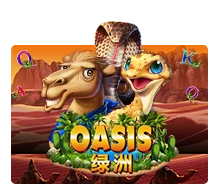 Oasis