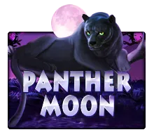 Panther Moon