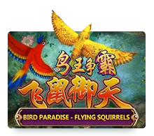 Bird Paradise