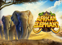 Demo Pragmatic Slot African Elephant