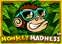 Demo Pragmatic Slot Monkey Madness